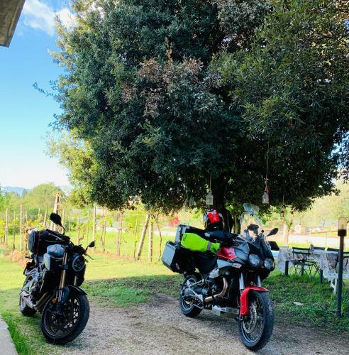 Bed & Breakfast Gli Elci