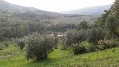 Serravalle Pistoiese Villa Sleeps 3 Pool
