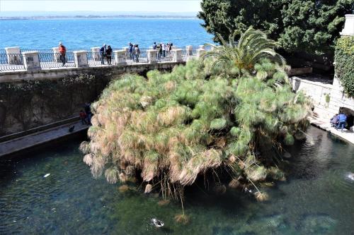 Apartamento Il Moro Casa Vacanze