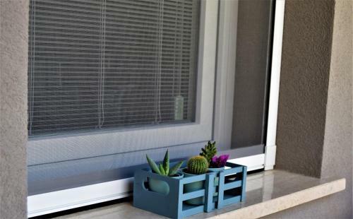 Apartamento Il Moro Casa Vacanze