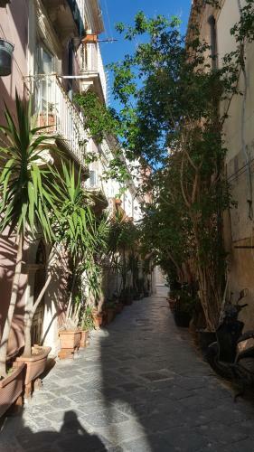 Room Calafatari