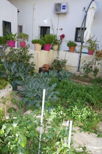 Apartamento Graziella E Lucia