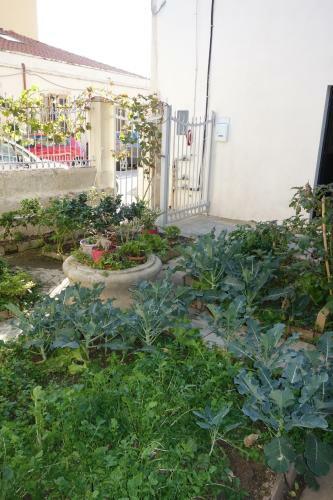 Apartamento Graziella E Lucia