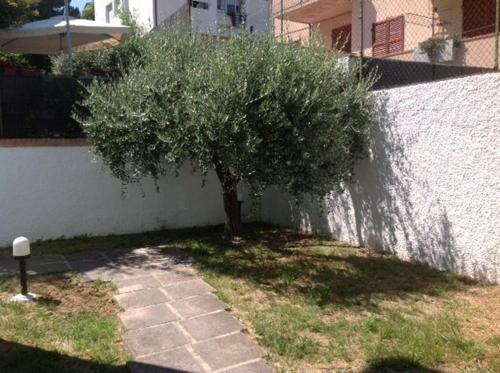 Apartamento S41 - Sirolo, Trilocale Con Giardino E Garage
