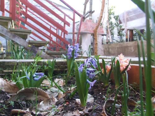 Apartamento Villa Agrifogli