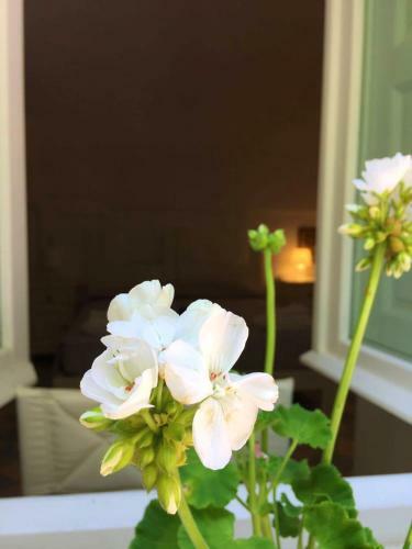 Apartamento Holiday Home Viale Arsilio