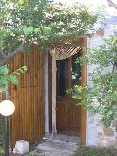 Villa B&B Pettirosso Garden