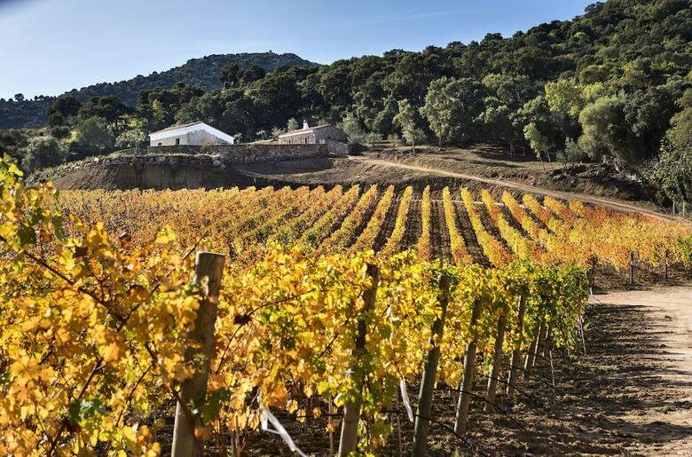 Residence Arcobaleno