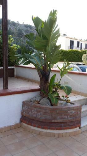 Villa A San Vito Lo Capo Minaudo