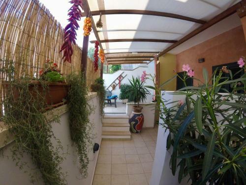 Apartamento Francis