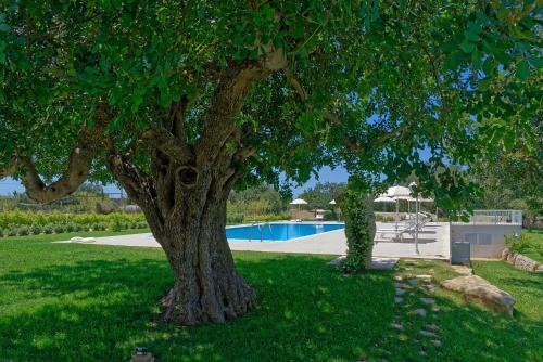 Apartamento Il Giardino Dei Frangipani