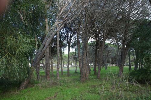 Bed & Breakfast Locanda Farorientale