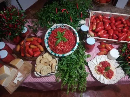 Agroturismo Agriturismo Torrevecchia
