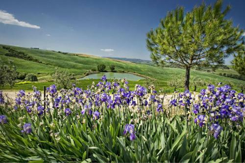 San Quirico D'orcia Apartment Sleeps 4 Pool Wifi