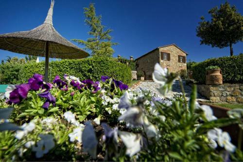 San Quirico D'orcia Apartment Sleeps 4 Pool Wifi