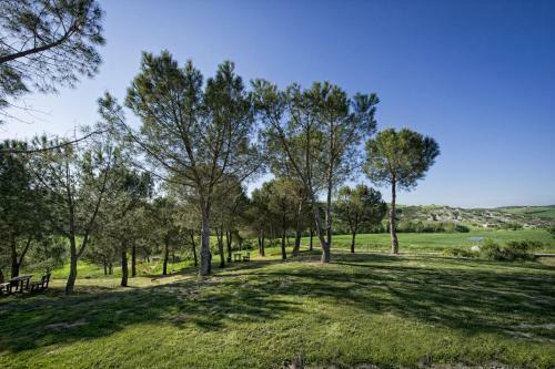 San Quirico D'orcia Apartment Sleeps 8 Pool Wifi