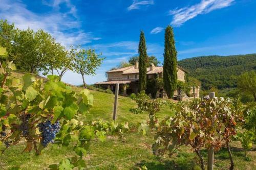 San Casciano Dei Bagni Villa Sleeps 10 Pool Air Con