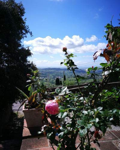 Agroturismo Palazzo Boccella