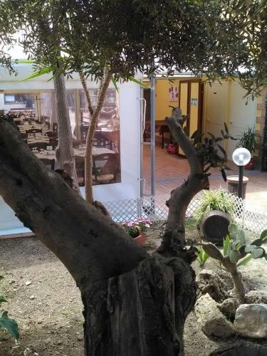 Apartamento Andrea Case Vacanze L'ancora