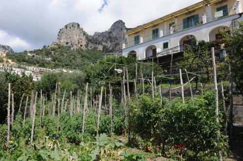 Bed & Breakfast L'uliveto