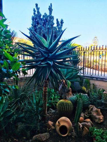 Sicily In- Residence Sea Garden