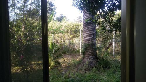 La Finestra Sul Giardino