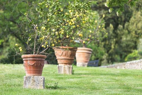 Rapolano Terme Villa Sleeps 6 Pool