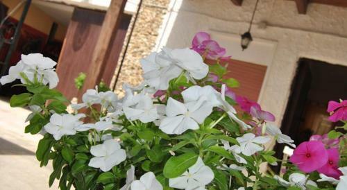 B&B Bah�a De Turchi
