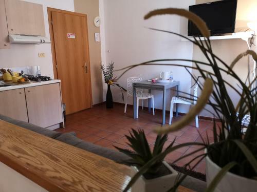 Hostal San Giorgio Apartments