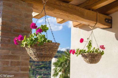 Agroturismo Tenute Piazza Countryhouse