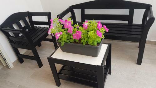 Bed & Breakfast Camera Vacanze American Bar