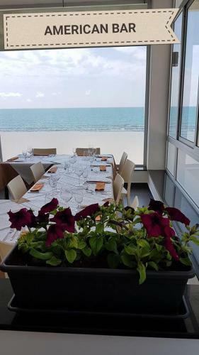 Bed & Breakfast Camera Vacanze American Bar