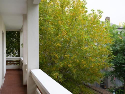 Ramusio B Halldis Apartment