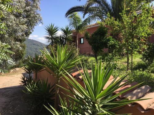 Villa Vue Ajaccio Quatre