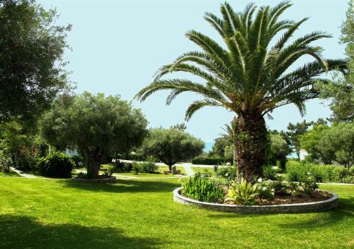 Hotel Trikorfo Beach