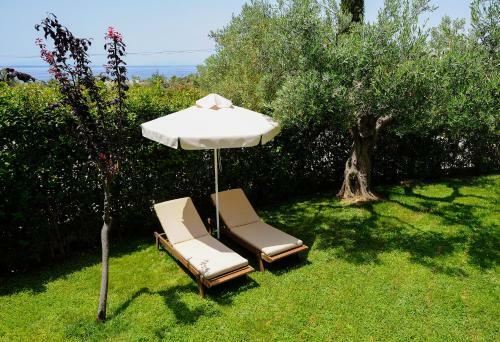 Hotel Trikorfo Beach