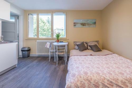 Apartamento Studio Vent - Annecy Dream