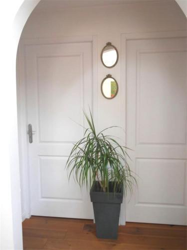 Apartamento Superbe T3 Biarritz Hypercentre - B9605