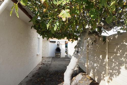 45 Rue Des M�riers -028