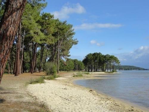 Apartment T1 Bis Dans R�sidence En Front De Mer