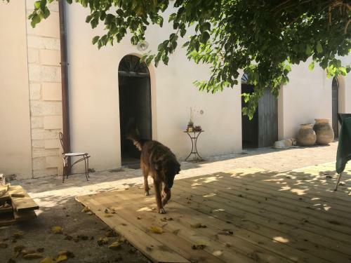Bed & Breakfast A Loghja Di Cavallo Morto