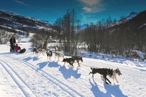 Apartamento R�sidence Le Lac Blanc - Val Thorens