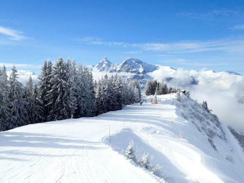 Apartamento Chalet 5 Pers. Vue Montagne 70038