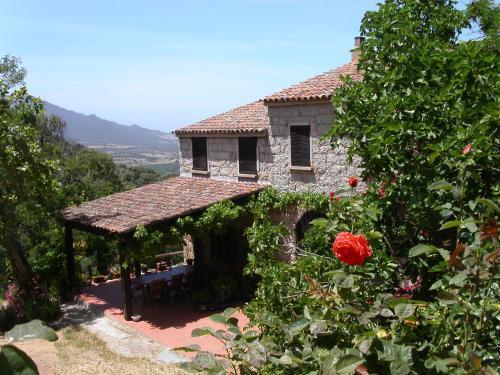 Bed & Breakfast Maison D'h�tes De Charme De Croccano