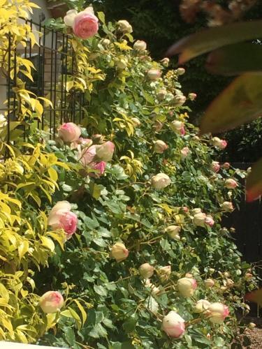 Bed & Breakfast Chambres D'h�tes Cap 10