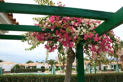 Apartamentos Bungalows Campo De Golf