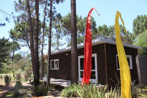 Pinocha Point Bungalows