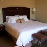 Hotel Hampton Inn & Suites Florence-downtown