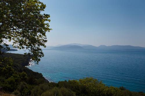Hostal Ionia Guest House