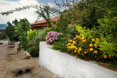 Hostal Ionia Guest House